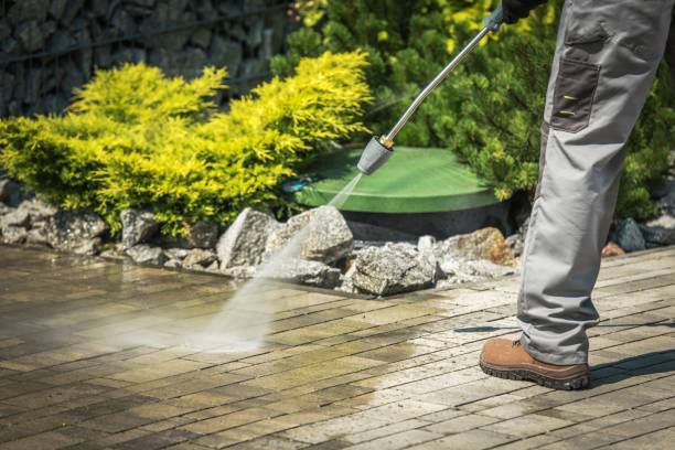 Best Solar Panel Cleaning  in Lake Helen, FL
