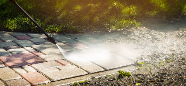 Best Animal Enclosure Cleaning  in Lake Helen, FL