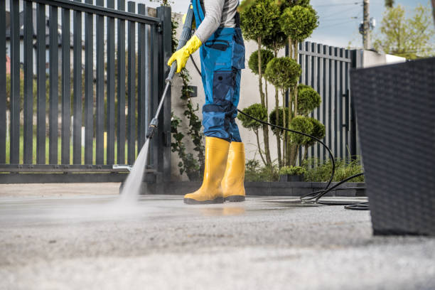 Best Dumpster Area Cleaning  in Lake Helen, FL